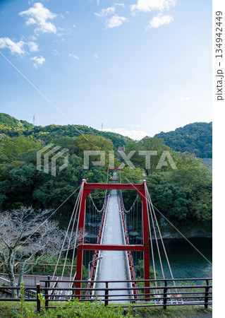 豊川に架かる桜淵公園の笠岩橋(愛知県新城市) 豊川に架かる桜淵公園の笠岩橋(愛知県新城市) 134942449