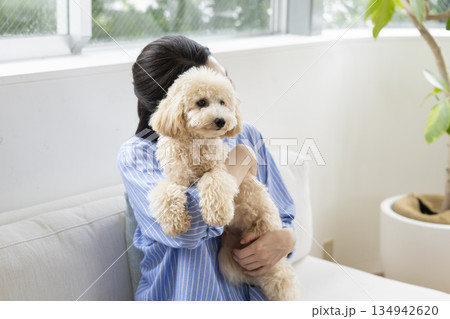 飼い主に抱っこされる小型犬 飼い主に抱っこされる小型犬 134942620