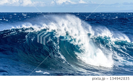 荒れ狂う大海原に立ち上がる巨大な波5 134942835