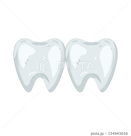 Illustration of tooth Illustration of tooth 134943038