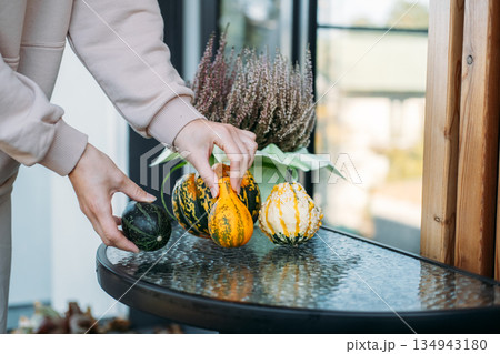 Hands place small ornamental gourds on glass table near potted plant. Seasonal table setting, harvest aesthetic, balcony aesthetics, home gardening. 134943180