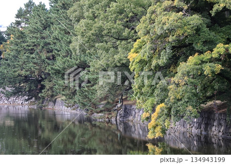 皇居東御苑の風景 134943199