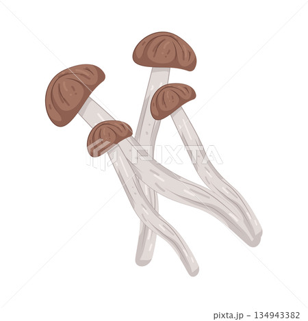 Illustration of mushroom Illustration of mushroom 134943382