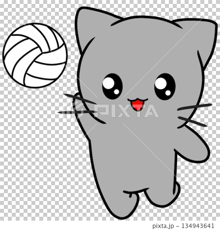 Volleyball Attack Sports Volleyball Attack Sports 134943641
