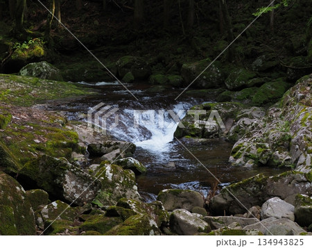 新緑と苔に囲まれた渓流　静かな森の水辺風景（赤目渓谷, 名張市, 三重県）2 134943825