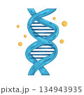 Illustration of DNA 134943935