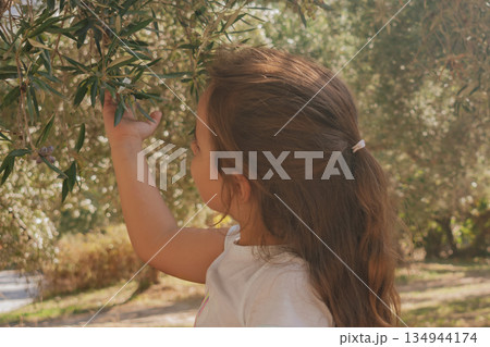 Back view of a girl with long hair among ancient olive trees in summer 134944174