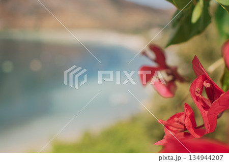 Bright pink bougainvillea framing the calm waters of lake Kournas, Crete, Greece Bright pink bougainvillea framing the calm waters of lake Kournas, Crete, Greece 134944207