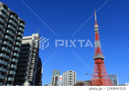 青空にそびえる東京タワー 青空にそびえる東京タワー 134944328