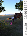 海の見えるベンチ 134945272