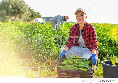 Cheerful girl farmer showing harvest of peppers on farm field Cheerful girl farmer showing harvest of peppers on farm field 134945477