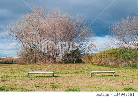 冬の淀川河川公園出口地区 大阪府枚方市 冬の淀川河川公園出口地区 大阪府枚方市 134945581