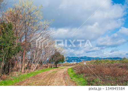 冬の淀川河川公園出口地区 大阪府枚方市 冬の淀川河川公園出口地区 大阪府枚方市 134945584