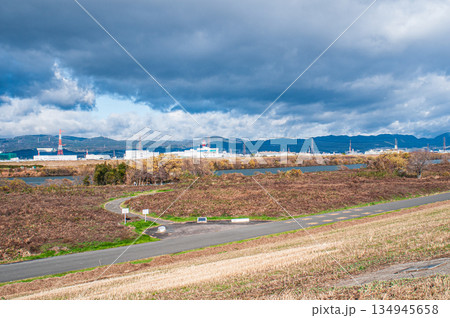 冬の淀川河川公園出口野草地区 大阪府枚方市 冬の淀川河川公園出口野草地区 大阪府枚方市 134945658