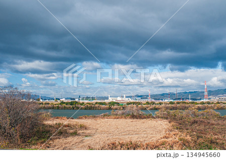 冬の淀川河川公園出口野草地区　大阪府枚方市 134945660