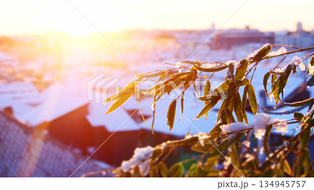 雪が降った日の朝焼けの空 134945757