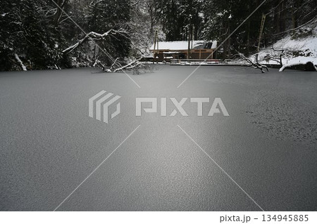 貝喰の池　冬 134945885