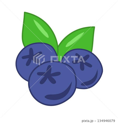 blueberry, Blueberries Fruit Illustration 134946079