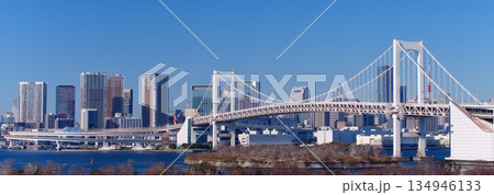 東京湾　レインボーブリッジと海岸の風景 134946133