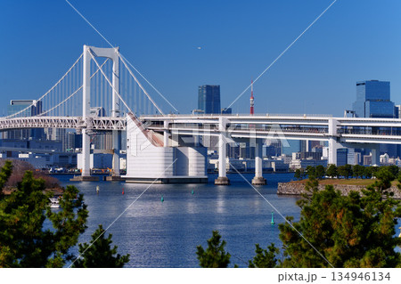 東京湾　レインボーブリッジと海岸の風景 134946134