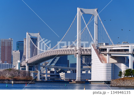 東京湾 レインボーブリッジと海岸の風景 東京湾 レインボーブリッジと海岸の風景 134946135