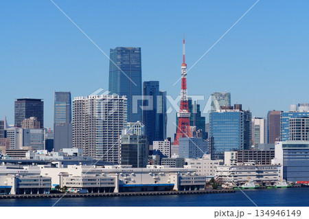 東京湾の海岸に建ち並ぶオフィスビル 東京湾の海岸に建ち並ぶオフィスビル 134946149