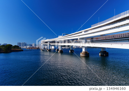 東京湾　レインボーブリッジと海岸の風景 134946160