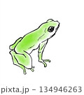 カエル 134946263