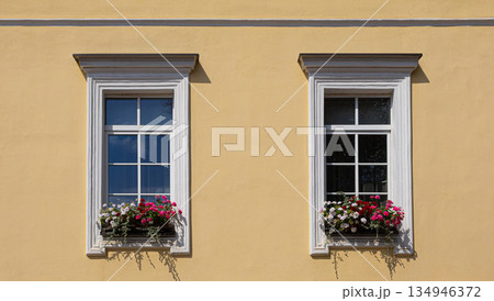 Yellow facade with two classic windows and flower boxes Yellow facade with two classic windows and flower boxes 134946372