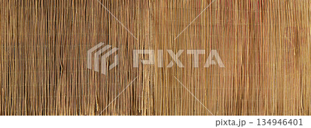 Vertical reed fence creating natural textured background 134946401