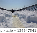 【記録写真】2014年雪害・ガラス温室の谷樋で行う除雪作業（波板を利用して雪を滑らせる工夫） 134947541