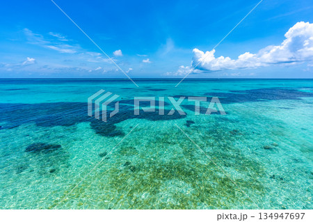 【沖縄県】池間島の美しい海 134947697