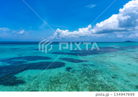【沖縄県】池間島の美しい海 134947699