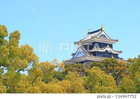 岡山県岡山市、岡山城の風景 134947752