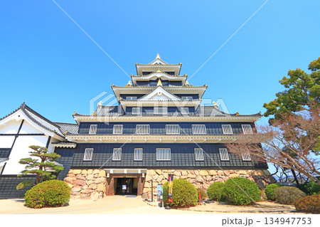 岡山県岡山市、岡山城の風景 134947753