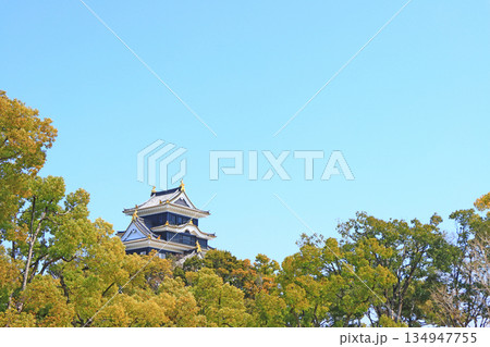 岡山県岡山市、岡山城の風景 134947755