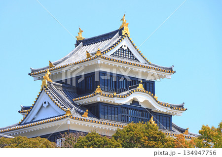 岡山県岡山市、岡山城の風景 134947756