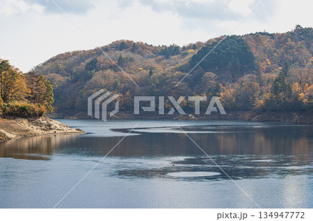 豊田市の三河湖の紅葉の風景(愛知県) 134947772