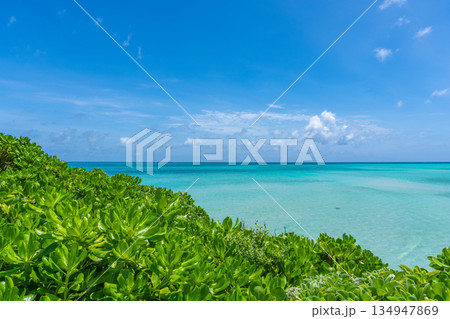 【沖縄県】池間島の美しい海 134947869