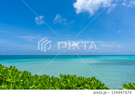【沖縄県】池間島の美しい海 134947874