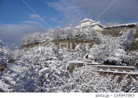 岡山県津山市にあるさくら名所100選のひとつ「鶴山公園（津山城趾）」：雪景色 134947963