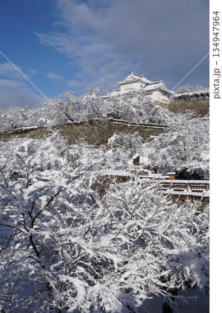 岡山県津山市にあるさくら名所100選のひとつ「鶴山公園(津山城趾)」:雪景色 岡山県津山市にあるさくら名所100選のひとつ「鶴山公園(津山城趾)」:雪景色 134947964