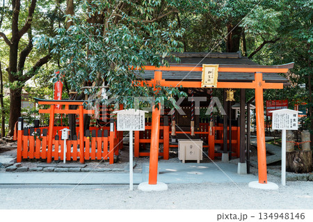 下鴨神社の相生社 下鴨神社の相生社 134948146