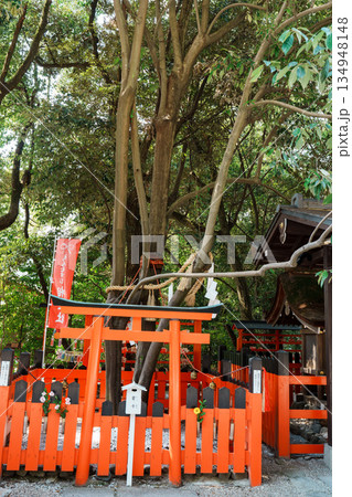 下鴨神社の相生社 134948148
