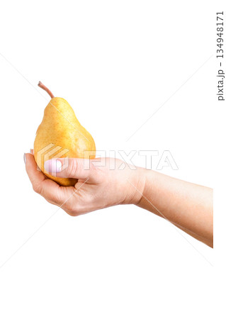 A female hand holding a ripe yellow pear A female hand holding a ripe yellow pear 134948171