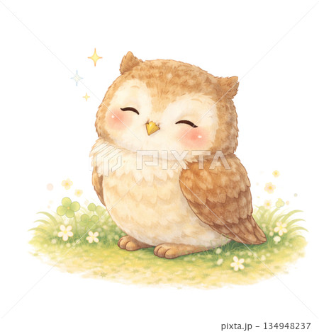 フクロウのイラスト 134948237