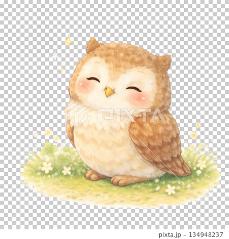 フクロウのイラスト 134948237