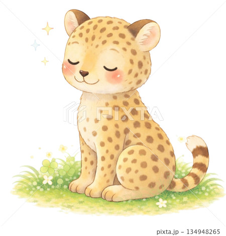 ヒョウのイラスト ヒョウのイラスト 134948265