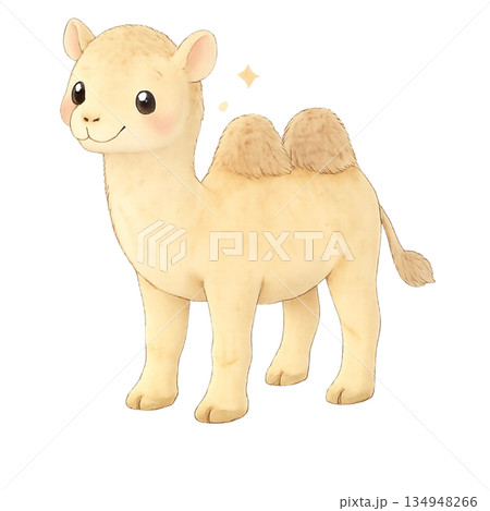 ラクダのイラスト 134948266