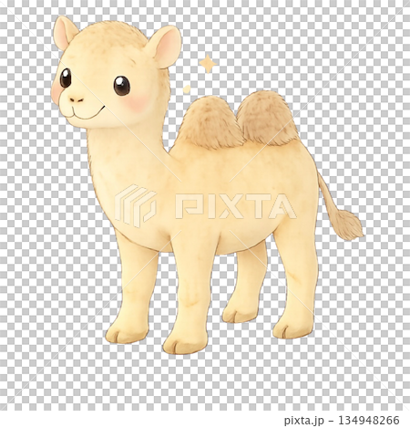 駱駝圖 134948266